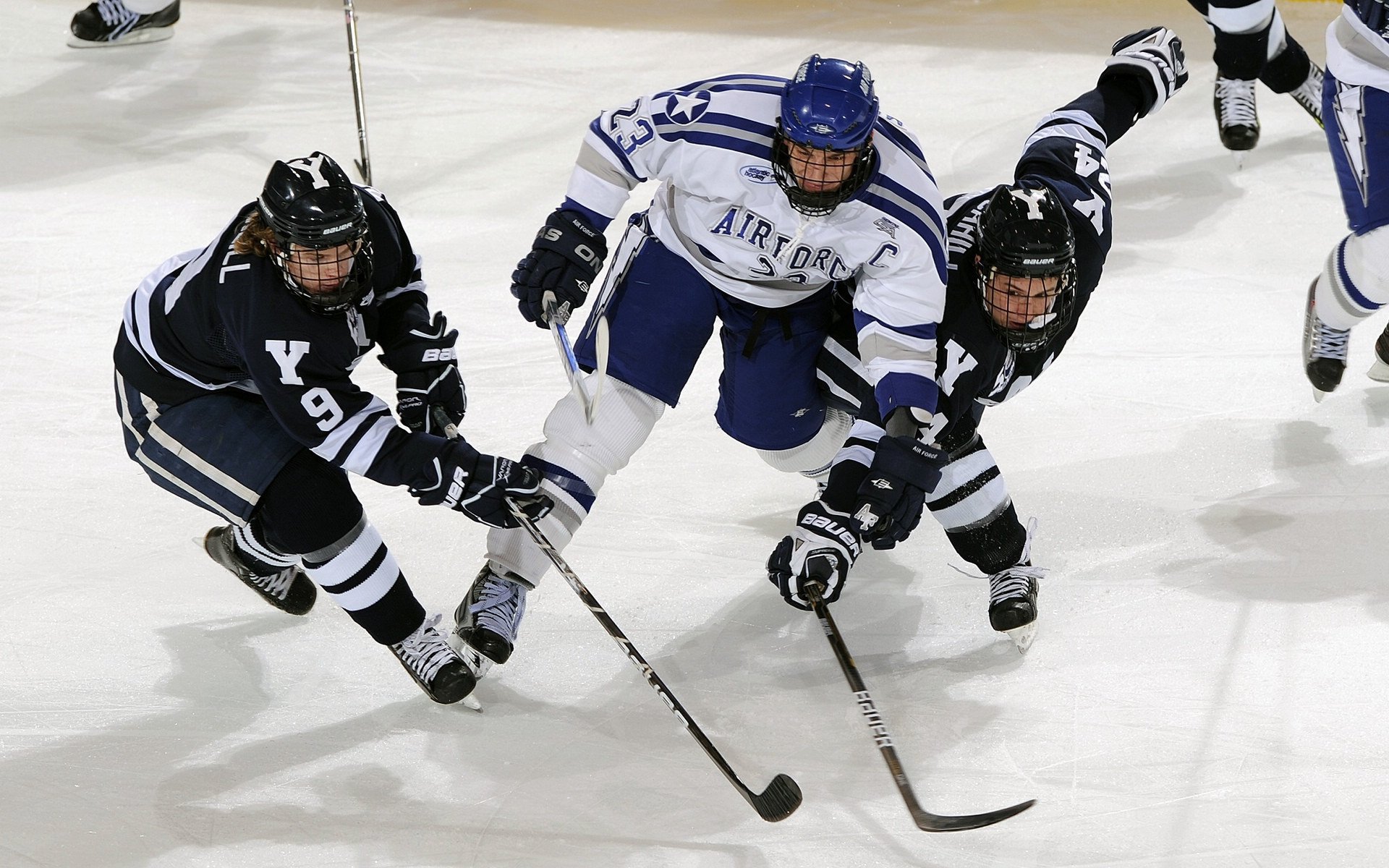 美洲杯球队背后团队支持揭秘，美洲杯球队背后团队支持揭秘吗
